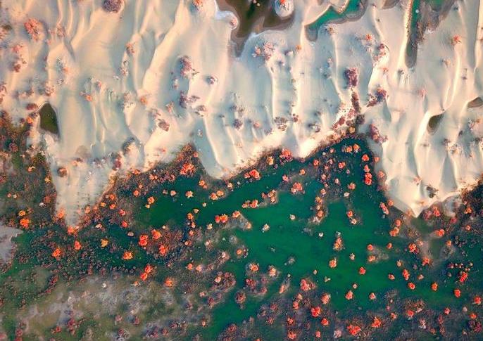 #����������1���ﵽ����ľ