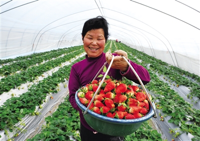 �����в�ҵ��̬��ƶ����